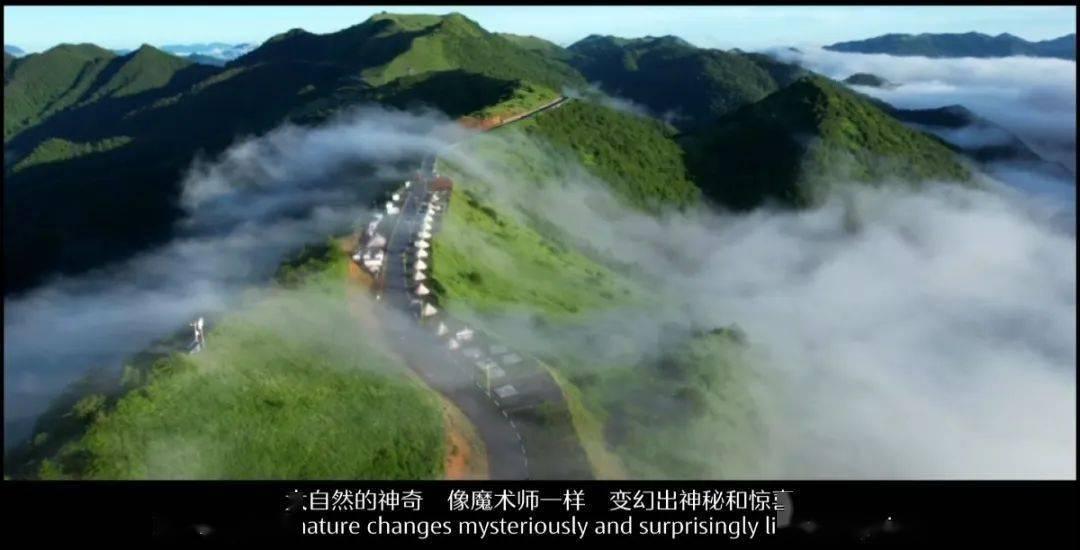 解救可爱的鸭子